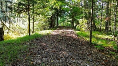 85 FR 19 ROUTE Havelock-Belmont-Methuen (Belmont-Methuen) Ontario photo 13