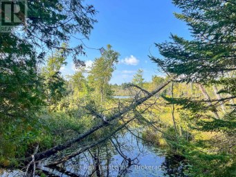 85 FR 19 ROUTE Havelock-Belmont-Methuen (Belmont-Methuen) Ontario photo 17