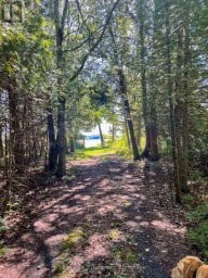 85 FR 19 ROUTE Havelock-Belmont-Methuen (Belmont-Methuen) Ontario photo 18