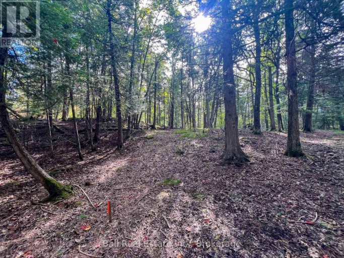 85 FR 19 ROUTE, Havelock-Belmont-Methuen (Belmont-Methuen), Ontario, K0L1Z0