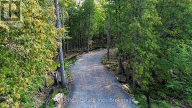 85 FR 19 ROUTE Havelock-Belmont-Methuen (Belmont-Methuen) Ontario photo 5