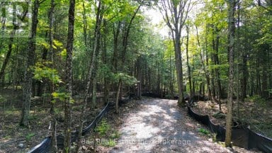 85 FR 19 ROUTE Havelock-Belmont-Methuen (Belmont-Methuen) Ontario photo 6