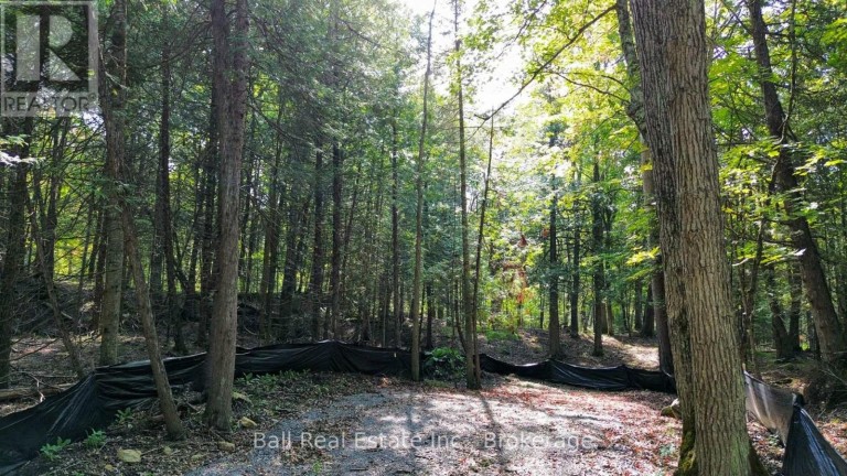 85 FR 19 ROUTE, Havelock-Belmont-Methuen (Belmont-Methuen), Ontario, K0L1Z0