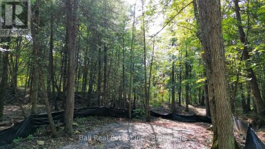 85 FR 19 ROUTE Havelock-Belmont-Methuen (Belmont-Methuen) Ontario photo 7