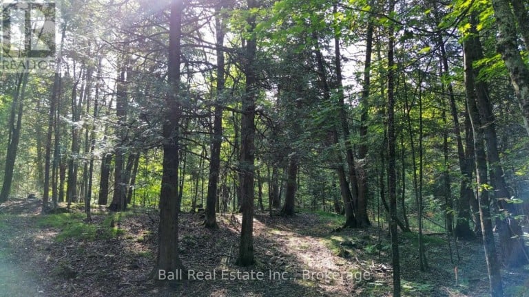85 FR 19 ROUTE, Havelock-Belmont-Methuen (Belmont-Methuen), Ontario, K0L1Z0