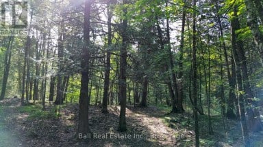 85 FR 19 ROUTE Havelock-Belmont-Methuen (Belmont-Methuen) Ontario photo 8