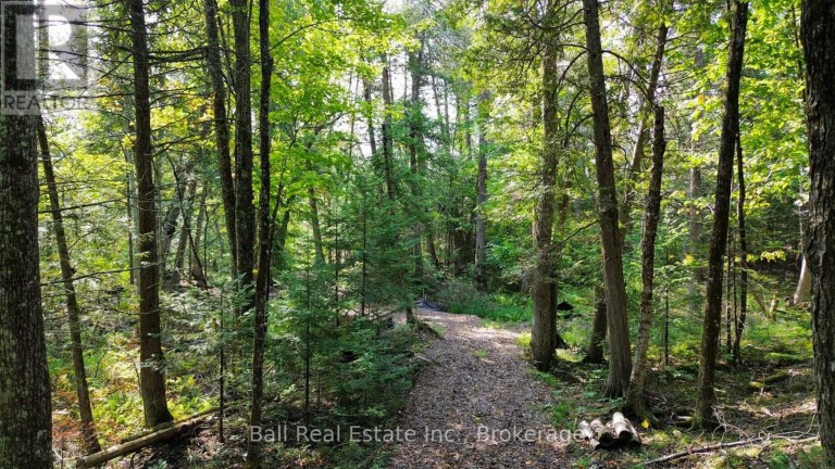 85 FR 19 ROUTE, Havelock-Belmont-Methuen (Belmont-Methuen), Ontario, K0L1Z0