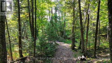 85 FR 19 ROUTE Havelock-Belmont-Methuen (Belmont-Methuen) Ontario photo 9