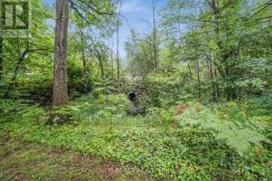 1424 PORT STANTON PARKWAY Severn Ontario photo 41