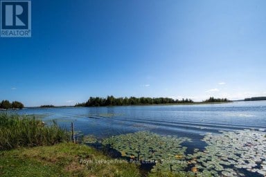 20 FIRE ROUTE 60 Trent Lakes Ontario photo 43