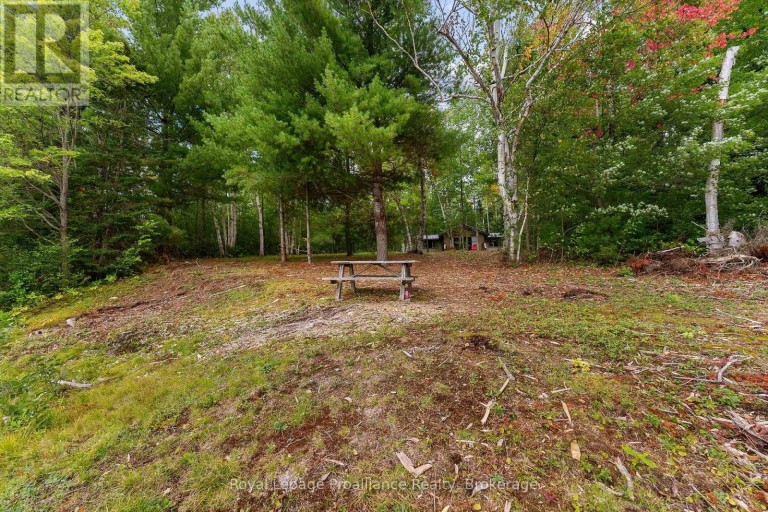 596 RIVER ROAD, Hastings Highlands (Bangor Ward), Ontario, K0J1B0