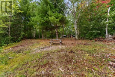 596 RIVER ROAD Hastings Highlands (Bangor Ward) Ontario photo 24