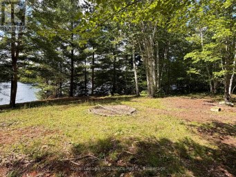 596 RIVER ROAD Hastings Highlands (Bangor Ward) Ontario photo 25