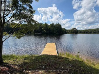 596 RIVER ROAD Hastings Highlands (Bangor Ward) Ontario photo 27