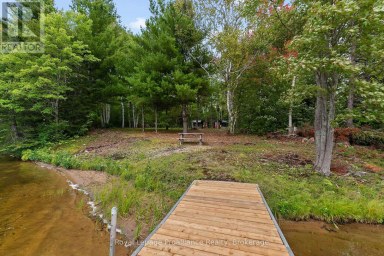 596 RIVER ROAD Hastings Highlands (Bangor Ward) Ontario photo 29