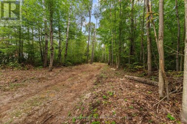 596 RIVER ROAD Hastings Highlands (Bangor Ward) Ontario photo 31
