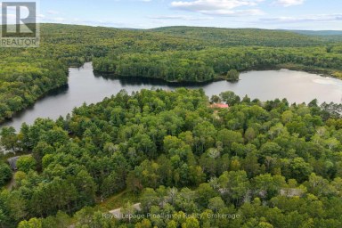 596 RIVER ROAD Hastings Highlands (Bangor Ward) Ontario photo 38