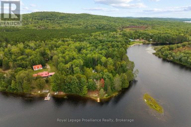 596 RIVER ROAD Hastings Highlands (Bangor Ward) Ontario photo 41