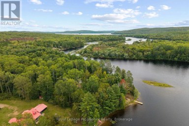 596 RIVER ROAD Hastings Highlands (Bangor Ward) Ontario photo 42