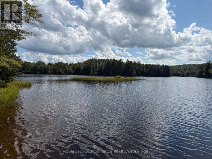 596 RIVER ROAD, Hastings Highlands (Bangor Ward), Ontario, K0J1B0
