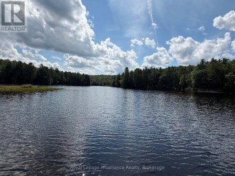596 RIVER ROAD Hastings Highlands (Bangor Ward) Ontario photo 44