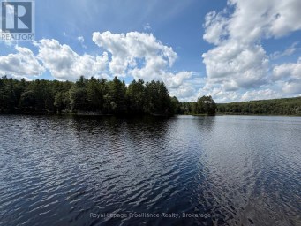 596 RIVER ROAD Hastings Highlands (Bangor Ward) Ontario photo 45