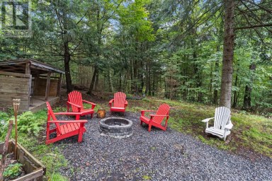 1099 BIG HAWK LAKE ROAD Algonquin Highlands (Stanhope) Ontario photo 13