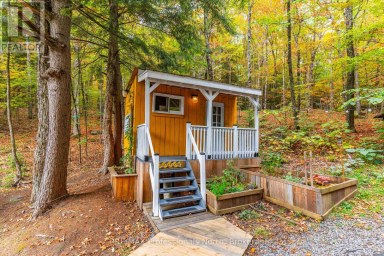 1099 BIG HAWK LAKE ROAD Algonquin Highlands (Stanhope) Ontario photo 40