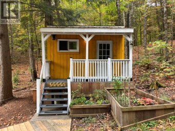 1099 BIG HAWK LAKE ROAD Algonquin Highlands (Stanhope) Ontario photo 41