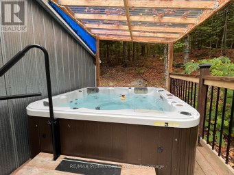 1099 BIG HAWK LAKE ROAD Algonquin Highlands (Stanhope) Ontario photo 9