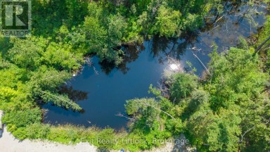4006 COUNTY RD 36 Trent Lakes Ontario photo 6