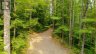 1316 WAHTA #2 ROAD S, Georgian Bay (gibson), Ontario, P0C1A0 (ID X13780958)