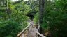 1316 WAHTA #2 ROAD S, Georgian Bay (gibson), Ontario, P0C1A0 (ID X13780958)