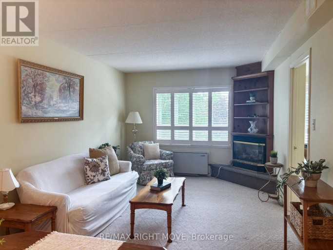 202 - 54 FITTONS ROAD W, Orillia, Ontario, L3V3T9
