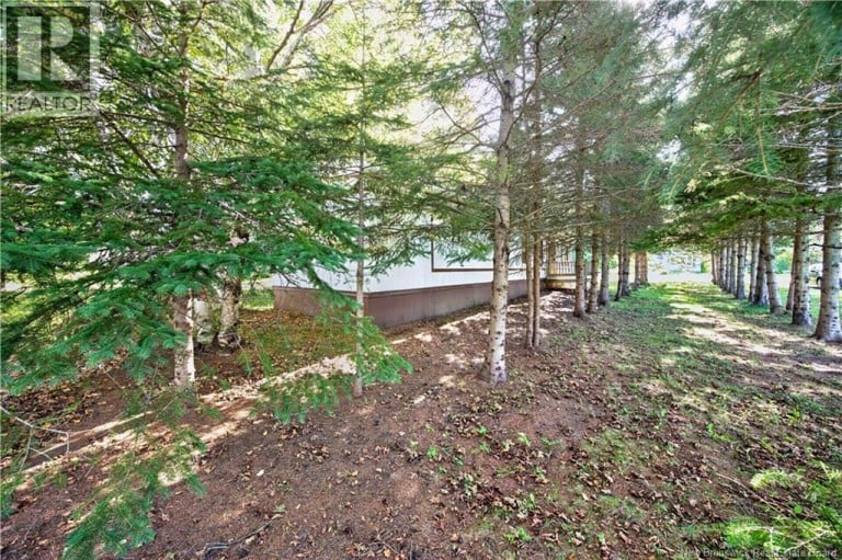 20 Knox Street, Miramichi, New Brunswick, E1N4K1