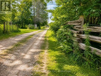 4141 Malcolm Road, Scugog Ontario