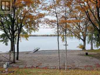 24 BUTTERNUT LANE Prince Edward County (Athol Ward) Ontario photo 14