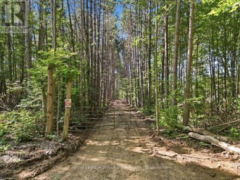 292 HARTIN ROAD Addington Highlands (Addington Highlands) Ontario photo 1
