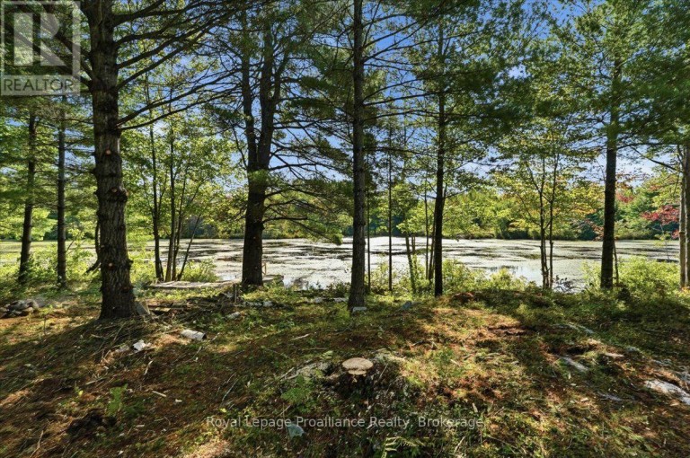 292 HARTIN ROAD, Addington Highlands (Addington Highlands), Ontario, K0H2G0