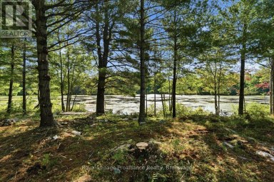 292 HARTIN ROAD Addington Highlands (Addington Highlands) Ontario photo 11