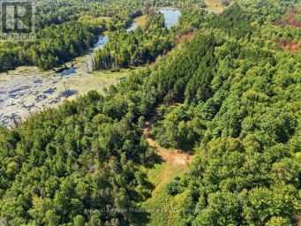 292 HARTIN ROAD Addington Highlands (Addington Highlands) Ontario photo 14