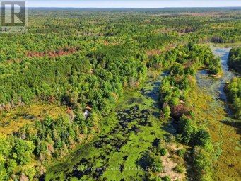 292 HARTIN ROAD Addington Highlands (Addington Highlands) Ontario photo 15