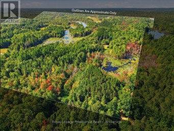 292 HARTIN ROAD Addington Highlands (Addington Highlands) Ontario photo 18