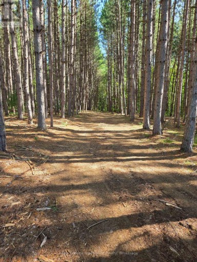 292 HARTIN ROAD, Addington Highlands (Addington Highlands), Ontario, K0H2G0