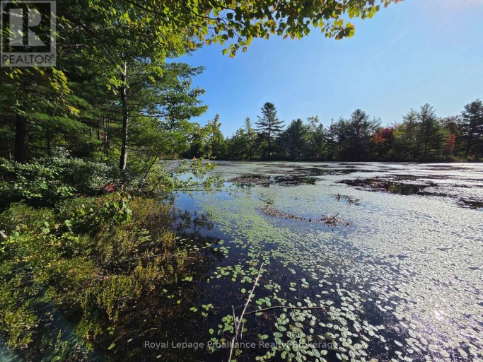 292 HARTIN ROAD, Addington Highlands (Addington Highlands), Ontario, K0H2G0