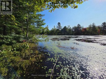292 HARTIN ROAD Addington Highlands (Addington Highlands) Ontario photo 25