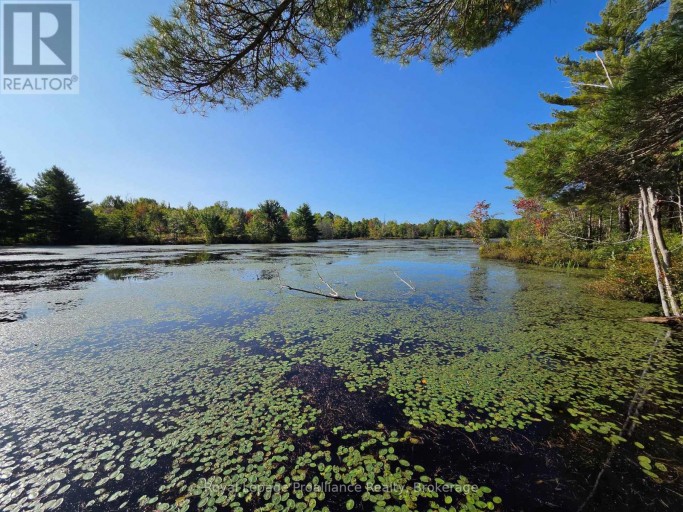 292 HARTIN ROAD, Addington Highlands (Addington Highlands), Ontario, K0H2G0