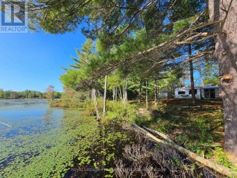 292 HARTIN ROAD Addington Highlands (Addington Highlands) Ontario photo 28