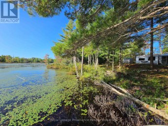 292 HARTIN ROAD Addington Highlands (Addington Highlands) Ontario photo 29
