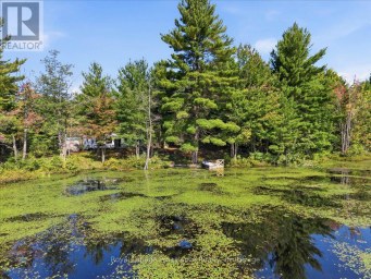 292 HARTIN ROAD Addington Highlands (Addington Highlands) Ontario photo 3